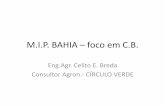 Celito E. Breda - M.I.P. BAHIA – foco em C.B.