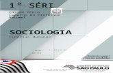 Sociologia 1 s_em_volume_1_professor
