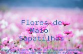 Flores de Maio Sapatilhas - Promoção Maio mês de Presentes!!!