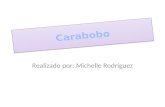 9C, Michelle Rodriguez, Carabobo