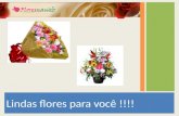 Floricultura de São Paulo - Floresnaweb