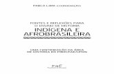 Fontes e refl exões para o ensino de história indígena e afrobrasileira: uma contribuição da área de História do PIBID/FaE/UFMG