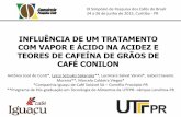 Lyssa sakanaka  - palestra IX Simpósio de Pesquisa dos Cafés do Brasil