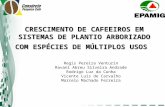 Regis venturin - palestra IX Simpósio de Pesquisa dos Cafés do Brasil
