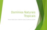 Domínios naturais tropicais