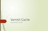 Varnish cache