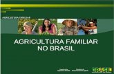 Pedro Bavaresco - Brasil - Agricultura familiar