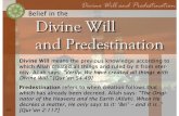Divine will & predestination