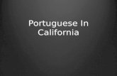Portuguese In California