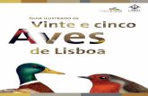 Guia ilustrado de 25 Aves de Lisboa