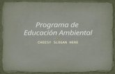 Programa De EducacióN Ambiental