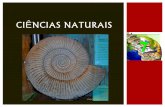 Ciências naturais 7   história da terra - noção de fóssil