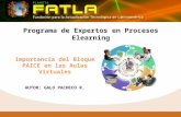 Programa de expertos en procesos elearning