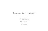 Anatomia Se4 P20091