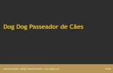 Dog Dog - Passeador de Caes