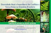 Diversidade Atual e Importância das Licófitas e Samambaias na Amazônia Brasileira