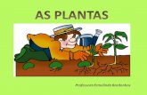 As plantas ppt