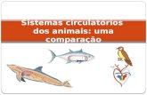 Sistemas circulatórios dos animais: uma comparação