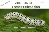 Zoologia dos Invertebrados