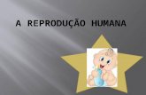 A reprodução humana (3)