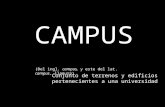 Presentación 1 teran_definicion campus