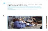 Experimentação e activismo animal, a polémica no Brasil