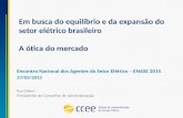 Em busca do equilíbrio e da expansão do setor elétrico brasileiro - A ótica do mercado