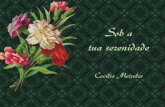 Sob a tua serenidade - Cecília Meireles