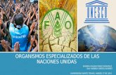 UNICEF - FAO - UNESCO