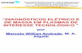 DIAGNÓSTICOS ELÉTRICOS E DE MASSA EM PLASMA DE INTERESSE TECNOLÓGICO II - painel