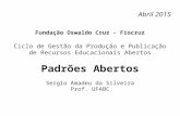 Sérgio Amadeu - Ciclo de Gestão da Produção e Publicação de Recursos Educacionais Abertos -  Padrões Abertos