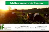 Avaliação e seleção de cultivares de Capim Elefante (Pennisetum purpureun schum) para pastejo