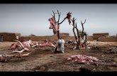 Niger, ‘food crisis’
