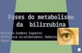 Fases do metabolismo da bilirrubina 2