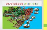 Diversidade brasileira