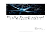 Ebooks e-mapas-mentais-direito-constitucional-aula-01