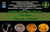 Bacteriologia   seminário Treponema e Leptospira
