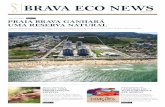 Brava Eco News - Ed 001