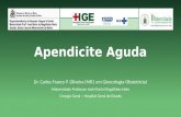 Aula Apendicite - Clínica Cirúrgica - HGE