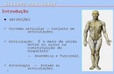 Anatomia - Sistema Articular