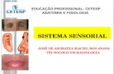 Sistema sensorial anatomia cetesp