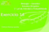 - Biologia - Exercícios Resolvidos Primeira Lei de Mendel ( 16 )