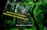 Fgxpress   apresenta§£o fcil de entender - copia (5) - copia