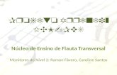 Aula 4   flauta transversal - nível 2 - projeto aprendiz vv - 2012