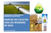 Acv do biodiesel de soja
