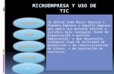 microempresas y uso del tic