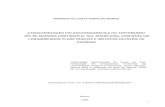 Dissertação de Mestrado Portilho-Ramos2006