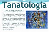 Tanatologia: Trabalhando as perdas | Dr. Aroldo Escudeiro