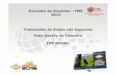 EU 2015 (RJ) - FME no Cadastro e Distribuição de dados não espaciais na TIM