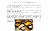 A Cultura e o Alimento brasileiro